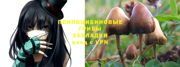 кокс Алексеевка
