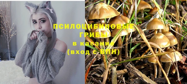 прущая мука Алзамай