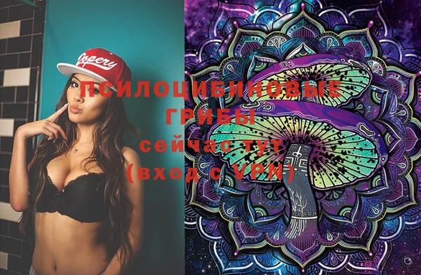 прущая мука Алзамай
